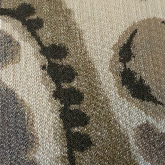 Meet your Posher, Maxwell - Picture 1 of 1